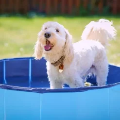 ☀️Sommerklar|Hundeferien^Active Canis Dog Pool | 100X30 cm