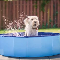 ☀️Sommerklar|Hundeferien^Active Canis Dog Pool | 100X30 cm
