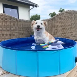 ☀️Sommerklar|Hundeferien^Active Canis Dog Pool | 100X30 cm