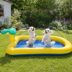 ☀️Sommerklar|Hundeferien^Active Canis Pet Splash Pool | 163 x 100 cm