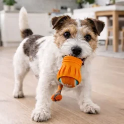 Aktivitetslegetøj Til Hunde|All For Paws Hundelegetøj^All For Paws AFP Apporteringslegetøj m. tennisbold