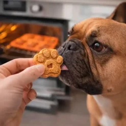 Artikler Til Hjemmet^All For Paws AFP Bone Appetit Silikone Bageform