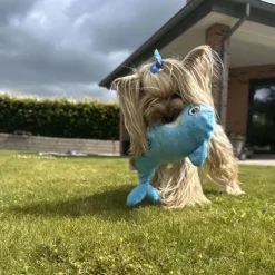 Legetøj Til Hvalpe|Hvalpelegetøj^All For Paws AFP Chill Out | Henrik Haj