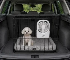 ☀️Sommerklar|Hundeferien^All For Paws AFP Chill out | Kølende Ventilator