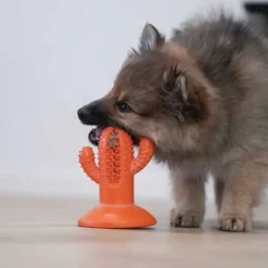 Mund-, Øre- Og Øjenpleje|Snusemåtter/Slikkeplader^All For Paws AFP Dental Cactus