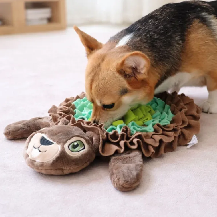 Snusemåtter/Slikkeplader^All For Paws AFP Egon Egern Snusemåtte | 65 cm