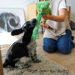 Plyslegetøj Til Hunde|Hvalpelegetøj^All For Paws AFP Frøen Henning Slaskebamse | 42 cm