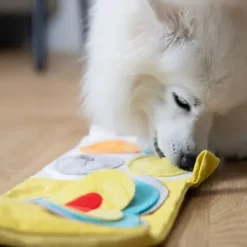 Aktivitetslegetøj Til Hunde|Hvalpelegetøj^All For Paws AFP Hvalpeaktivitetsbog | Puppy Nose Work