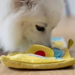 Aktivitetslegetøj Til Hunde|Hvalpelegetøj^All For Paws AFP Hvalpeaktivitetsbog | Puppy Nose Work