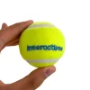 Bolde|Hundelegetøj Uden Piv^All For Paws AFP Interactives - Aportbolde 6 stk.