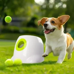 Aktivitetslegetøj Til Hunde|Bolde^All For Paws AFP Interactives | Mini Ball Launcher