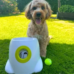 Aktivitetslegetøj Til Hunde|Bolde^All For Paws AFP Interactives | Mini Ball Launcher