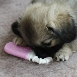 Hvalpelegetøj|All For Paws Hundelegetøj^All For Paws AFP Little Buddy Happy Chews