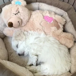 Hvalpe Accessories|Nyfødte Hvalpe 0-8 Uger^All For Paws AFP Little Buddy Warm Bear