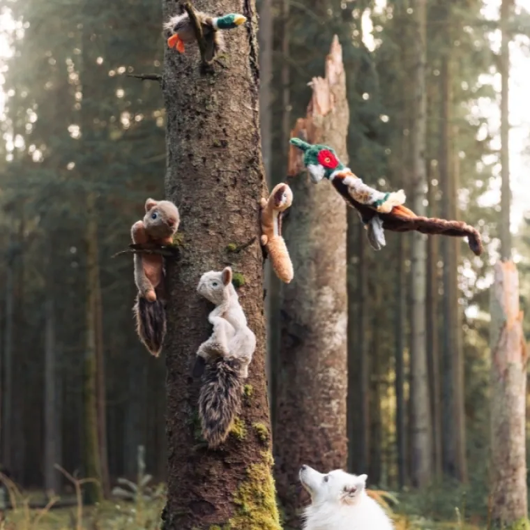Naturtro Hundebamser|Plyslegetøj Til Hunde^All For Paws AFP Naturtro gråand