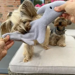 Plyslegetøj Til Hunde|All For Paws Hundelegetøj^All For Paws AFP Safari Legetøj - Daniel Dinosaur