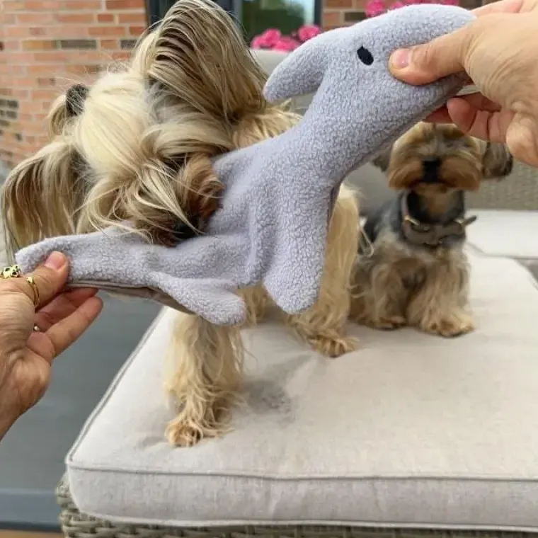 Plyslegetøj Til Hunde|All For Paws Hundelegetøj^All For Paws AFP Safari Legetøj - Daniel Dinosaur
