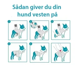 Helse Til Hunde|Nytårskurven^All For Paws AFP Stay Calm Anti Angst Vest | OUTLET
