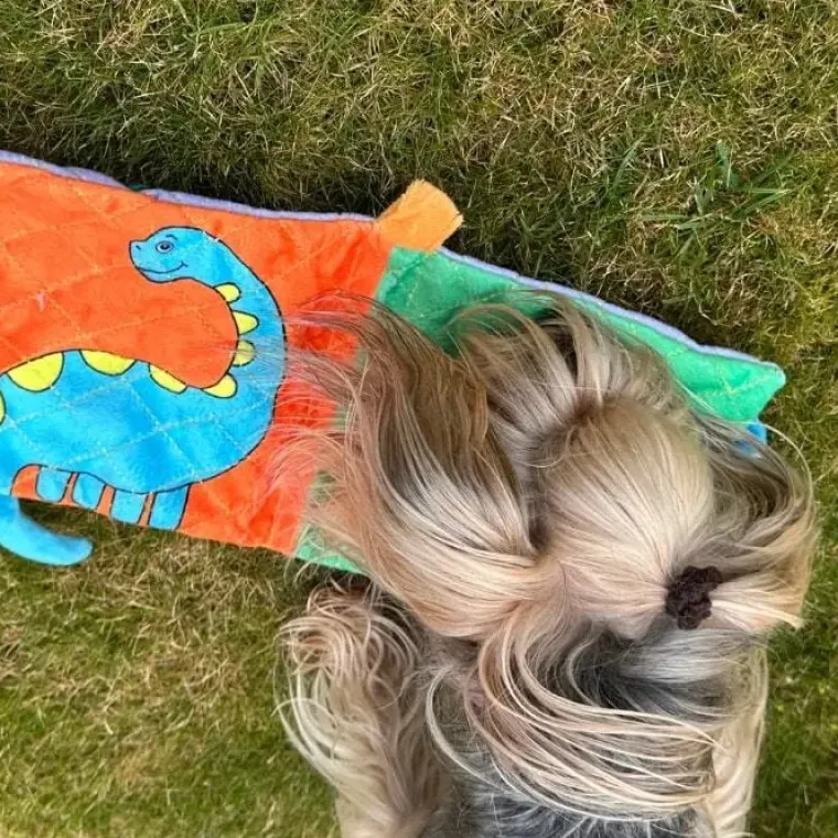 Aktivitetslegetøj Til Hunde|Snusemåtter/Slikkeplader^All For Paws AFP T-REX Dino bog | Med knitrelyd og piv