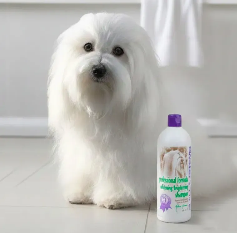 Hundeshampoo Og Hundebalsam^#1 All Systems | Professional Formula Whitening Shampoo | OUTLET