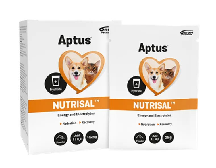 Helse Til Hunde|Hundeferien^Aptus Nutrisal