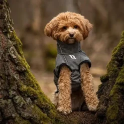 ❄️Klar Til Vintervejret|Hundetøj^Back on Track BARK Softshell hundedækken | Fuld Refleks