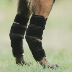 Hundesko|Hundetøj^Back on Track Dixie Hasebandage