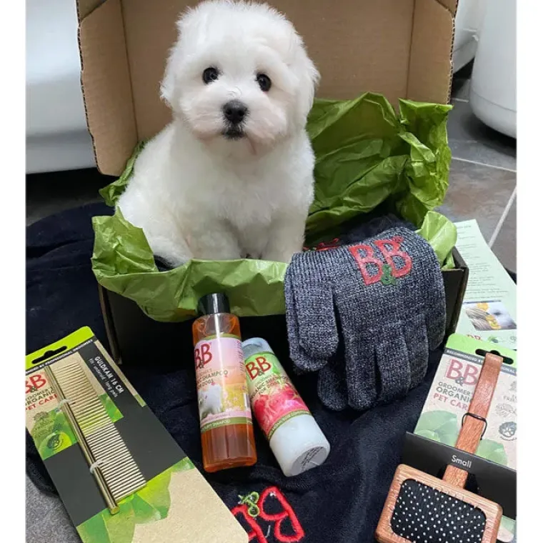 Hvalpesæt|Hvalpeshampoo^B&B Økologisk Hundeshampoo m.m. B&B Pelspleje startboks til hvalpe