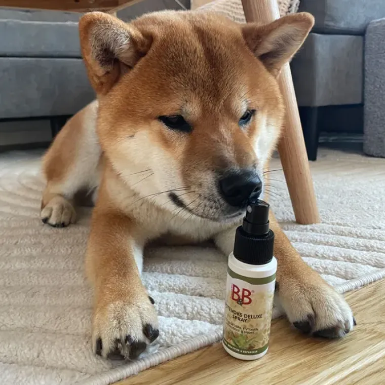 Poter Og Kløer|❄️Klar Til Vintervejret^B&B Økologisk Hundeshampoo m.m. B&B Potevoks Deluxe - Spray