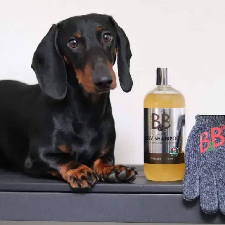 Hundeshampoo Og Hundebalsam^B&B Økologisk Hundeshampoo m.m. B&B Sølv Shampoo | Kolloid