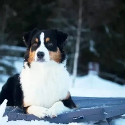 Hundeferien|Hundesenge^BIA Bed Bia Outdoor Madras