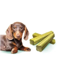 Godbidder Og Gnaveben^Brit Care Dog Mini Dental Sticks, Fresh Breath | 120g