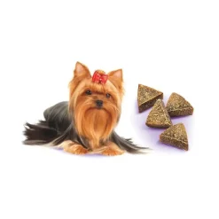 Godbidder Og Gnaveben^Brit Care Dog Mini Treats, Liver Detox | 50g