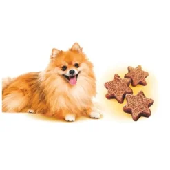 Godbidder Og Gnaveben^Brit Care Dog Mini Treats, Shine | 50g