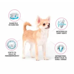 Hundemad^Brit Care Mini Grain Free Adult - Lamb | Tørfoder