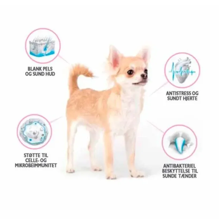 Hundemad|Hvalpefoder^Brit Care Mini Grain Free Puppy - Lamb | Tørfoder