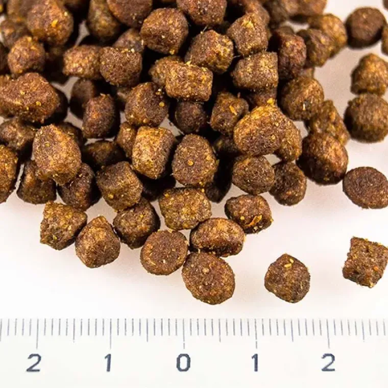 Hundemad|Hvalpefoder^Brit Care Mini Grain Free Puppy - Lamb | Tørfoder