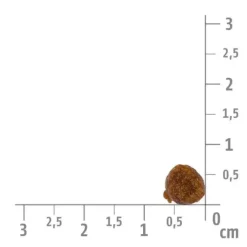 Hundemad^Brit Care Mini Raw Delights Adult, Beef | Tørfoder 2kg