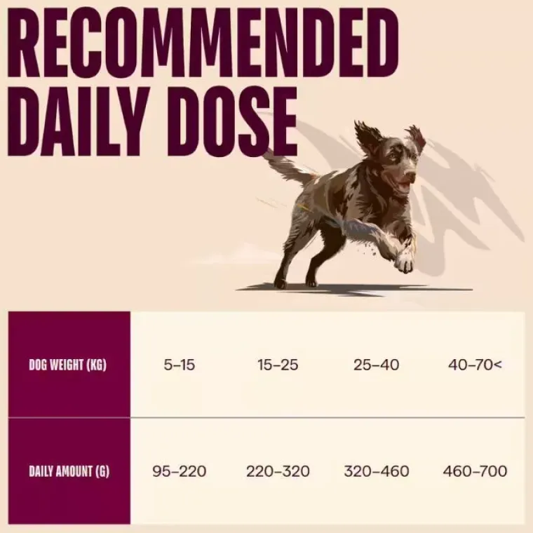 Hundemad^Carnilove Active Dog Lamb & Wild Boar, Adult All Breeds | Tørfoder