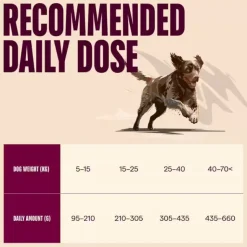 Hundemad^Carnilove Active Dog Venison, Reindeer & Wild Boar, Adult All Breeds | Tørfoder