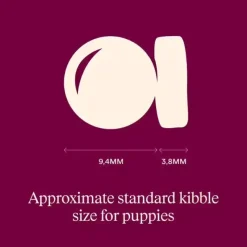 Hundemad|Hvalpefoder^Carnilove True Fresh Dog Duck, Puppy All Breeds | Tørfoder