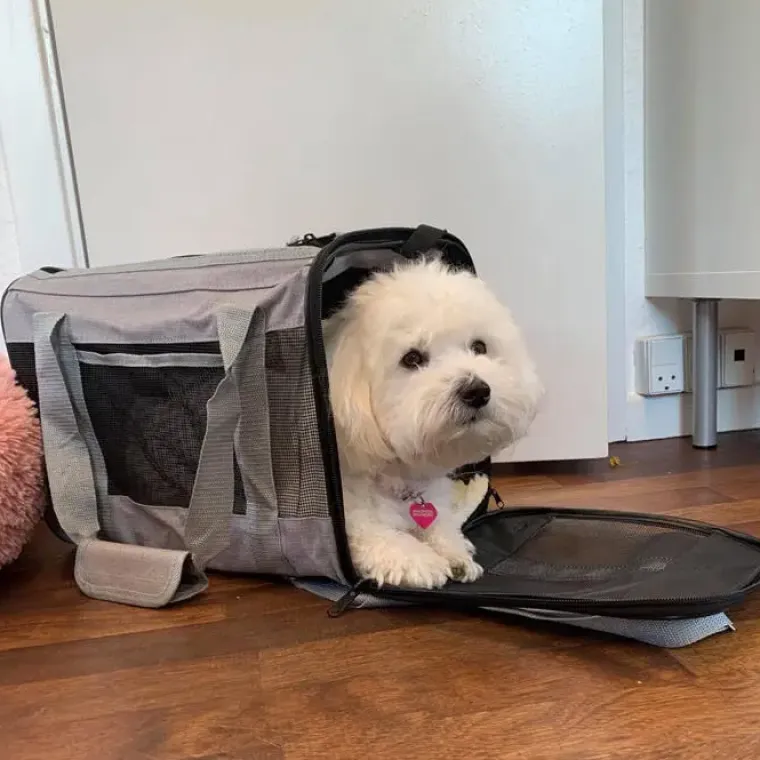 Hundetaske|Transporttasker Til Hunde^KBL Casual Flytaske | Rejsetaske