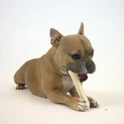 Godbidder Og Gnaveben^Dogman Chicken Stuffed Bone | 2 stk.