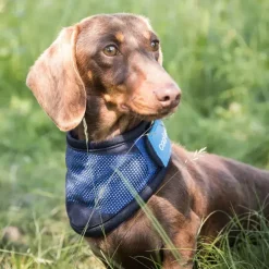 ☀️Sommerklar|Hundeferien^Back on Track Cool on Track Kølebandana