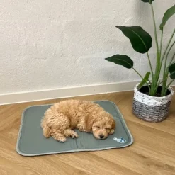 ☀️Sommerklar|Køleartikler^CoolPets Premium Kølemåtte | Citronella og Eukaluptus Beige