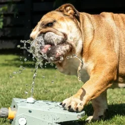 ☀️Sommerklar|Hundeferien^CoolPets Splash Water Fountain | Olivengrøn