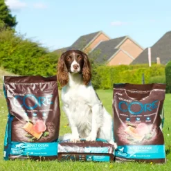 Hundemad^Wellness CORE CORE Adult Ocean - Medium/Large Breed | Tørfoder