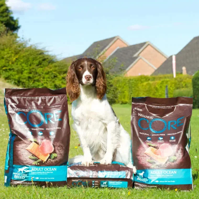 Hundemad^Wellness CORE CORE Adult Ocean - Medium/Large Breed | Tørfoder