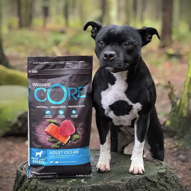 Hundemad^Wellness CORE CORE Adult Ocean - Medium/Large Breed | Tørfoder