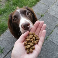 Hundemad^Wellness CORE CORE Adult Ocean - Medium/Large Breed | Tørfoder
